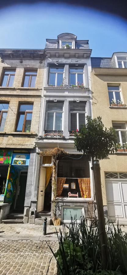 Apartament La Maison Des Vacances Bruksela Zewnętrze zdjęcie